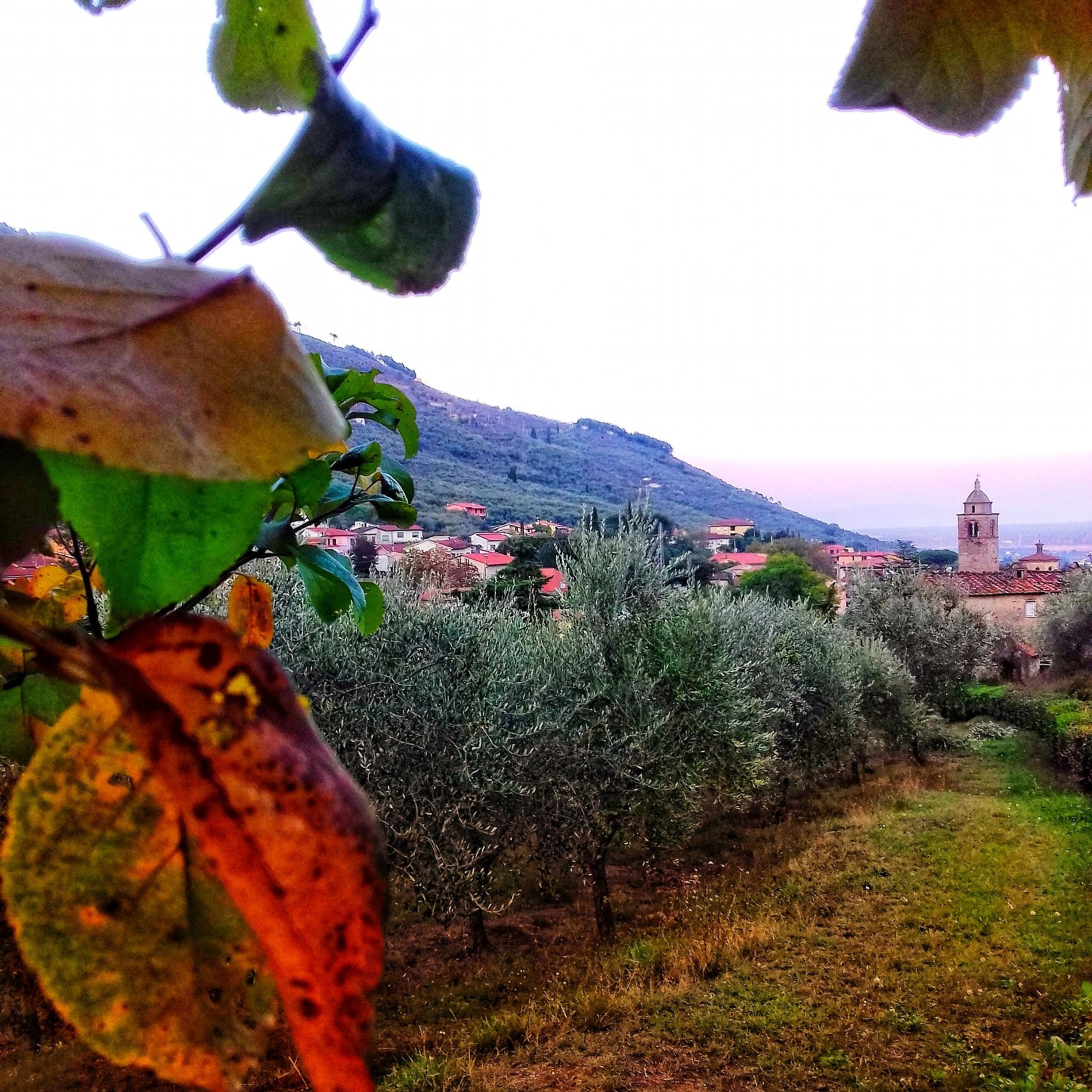 Buti, nel cuore della Toscana più autentica